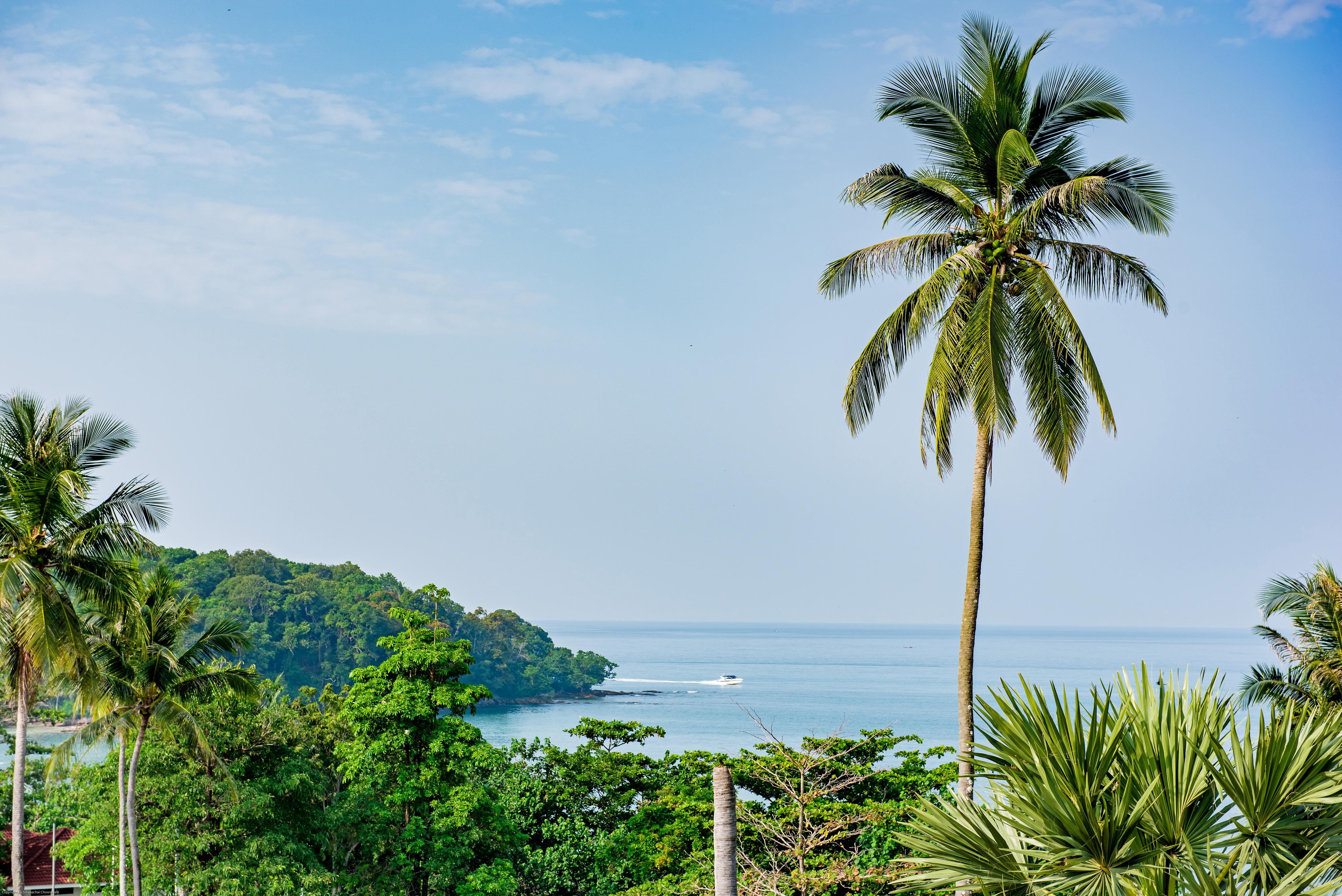 The Pelican Krabi town Exterior foto